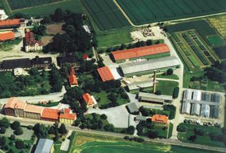 špičkovým výnosem. Rostliny jsou středního vzrůstu s dobrou odolností proti poléhání. HTZ je vyšší 48 g, vysoký podíl předního zrna 97 % s vysokým obsahem škrobu 69,9 %.