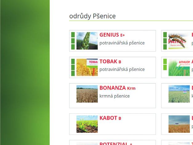 Šumperk 2 Orlicí Opava Beroun Karviná Kutná Chrudim Tachov Plzeň Ostrava Hora 6 Benešov Havlíčkův Nový Rokycany Příbram Brod