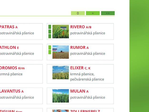 Prostějov Sázavou Písek Pelhřimov 8 Přerov Blansko Klatovy 7Tábor Jihlava Vsetín Vyškov Kroměříž Strakonice Brno 1 Jindřichův