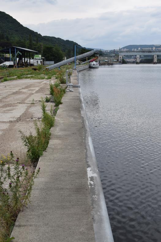 ) Kriticky ohrožený skokan skřehotavý (Pelophylax ridibundus) nebyl v prostoru určených parcel zjištěn. Vyskytuje se převážně v lokalitách se stojatou nebo pomalu tekoucí vodou.