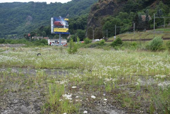 Výsledky průzkumu Botanický průzkum Obsahem zprávy jsou výsledky základního botanického průzkumu (vyšší cévnaté rostliny) na pozemcích číslo 535/1, 538/4, 538/6, 530/1, 538/1, 534, 531, 533 a 532 v
