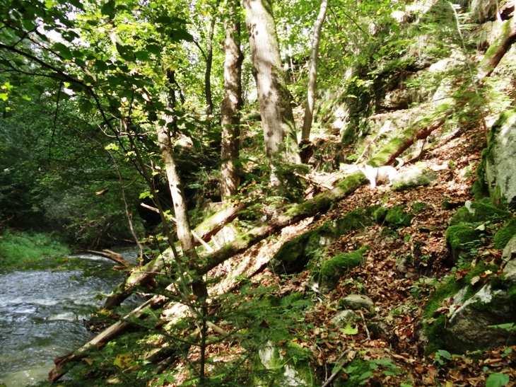 Jindřišské údolí Inventarizační průzkum drobní