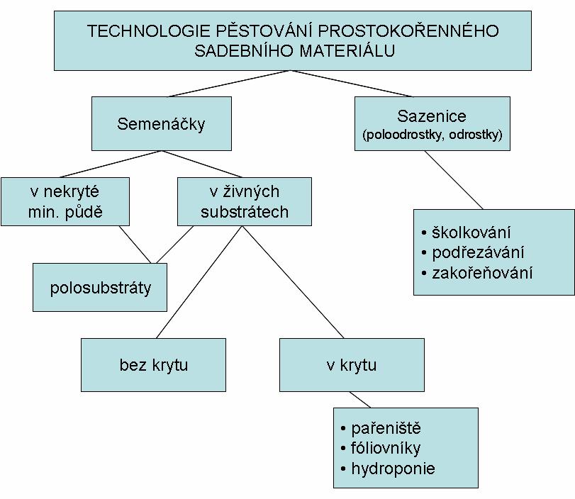 4. Pěstování generativního krytokořenného sadebního materiálu Podle způsobu vytvoření kořenového balu rozeznáváme tři technologie pěstování. Sadební materiál hroudový.
