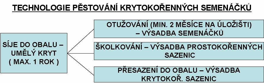 Pro kořeny propustné obaly se při výsadbě nesnímají, nepropustné obaly se musí sejmout a lze je opětovně použít pro pěstování rostlin. PĚSTOVÁNÍ KRYTOKOŘEN. SADEB.