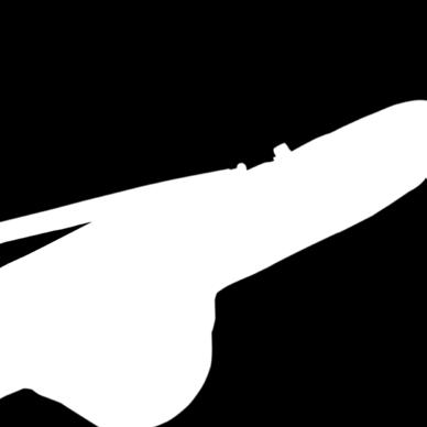 použití je individuálně, nebo připojení k 2 Rod Skins a Scope Black Ops Quiver Unikátní