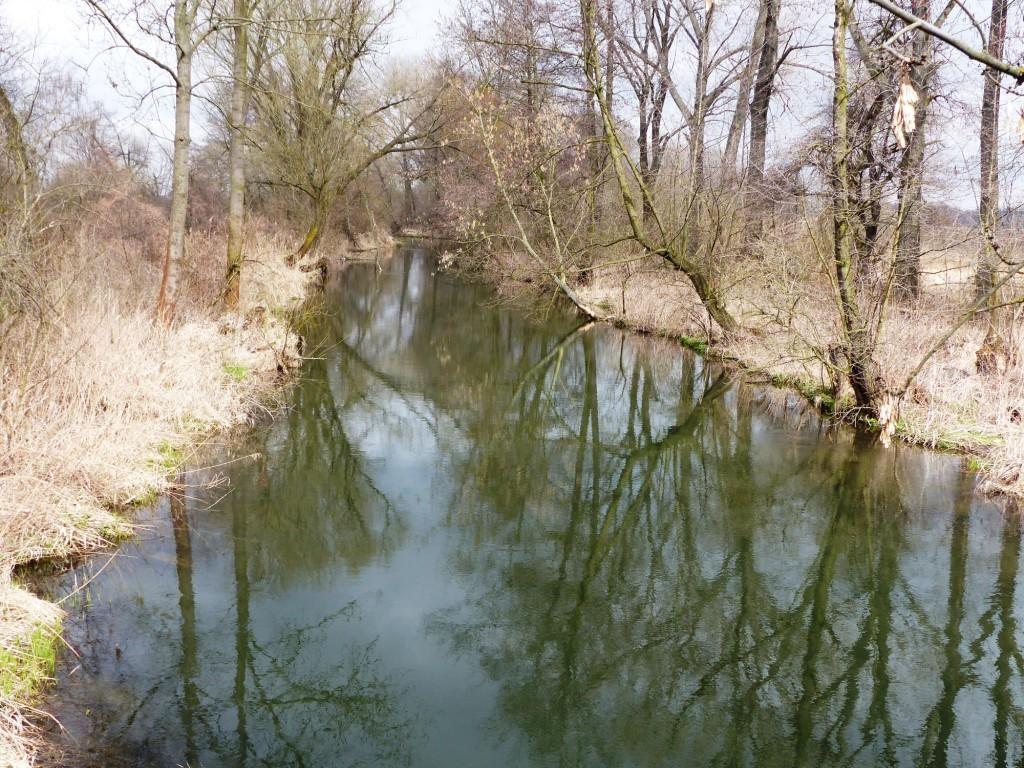 Posouzení prodloužení Baťova kanálu do Olomouckého kraje jeho případné úpravy by musely být řešeny velice citlivě (minimální směrové úpravy, omezení kácení dřevin apod.).