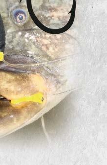 MJ Ø Nosnost MJ 6157 008 10,5 mm 50 kg 10 ks 4288 002 5 ks 6157 010 12 mm 90 kg 10 ks