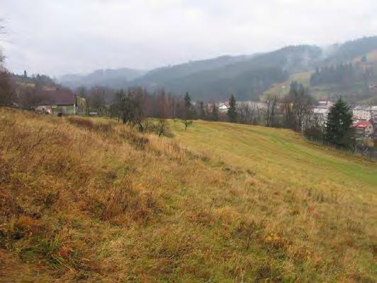 vybavenosti specifických forem (č. 16), 1 plocha kategorie DS plocha pro silniční dopravu (č.20) a 1 plocha kategorie DX - plocha pro specifické formy dopravy (č. 21).