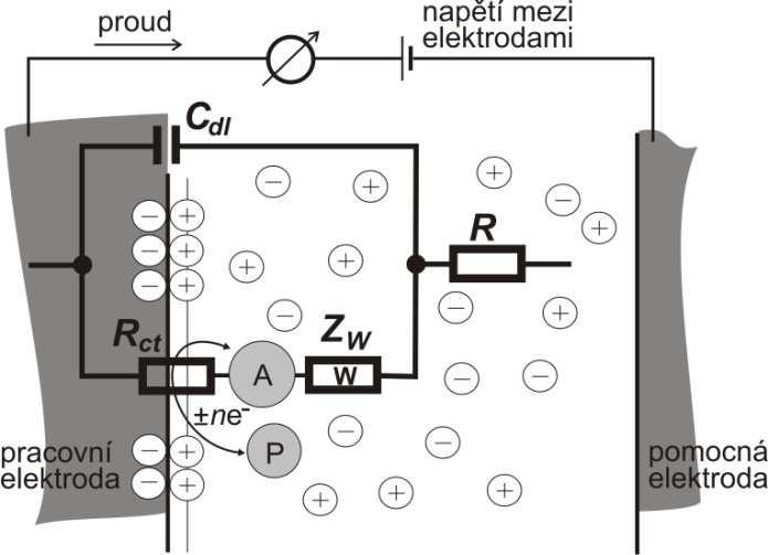 3.2 Impendační spektroskopie Elektrochemické cely lze popsat náhradními obvody, v nichž vystupují rezistory (představující ohmické odpory) a kondenzátory (představující kapacity).