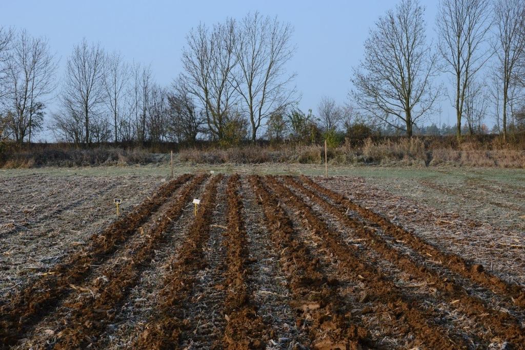 8, 9) nebo jarním pásovém zpracování půdy strojem Eco Tiller pro kukuřici, cukrovku a další plodiny.