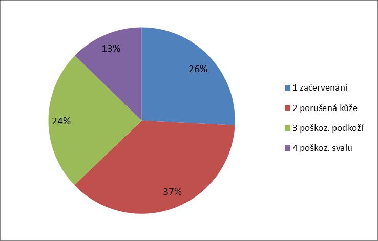 Rozdělení dekubitů podle stupňů - celkové za roky 2009-2016 Stupeň postižení Počet dekubitů Počet dekubitů celkem % 1 začervenání 4259 16508 25,80% 2 porušená kůže 6114 16508 37,04% 3 poškoz.