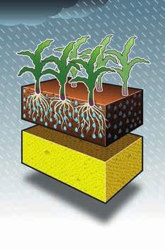 Hnojiva aplikovaná do půdy jsou pro řadu rostlin lépe osvojitelná, tudíž i lépe využitelná.