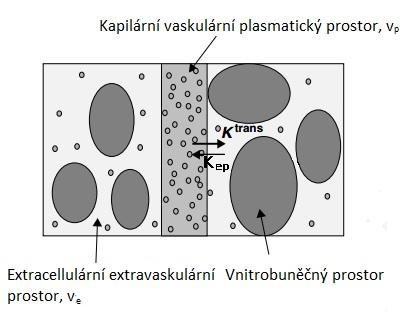 Obr. 2.5: Hlavní složky podílející se na distribuci kontrastní látky v tkáni [5] kde E je extrakční frakce udávající procento kontrastní látky, které extravazuje při prvním průchodu [5].