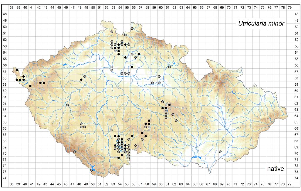 Distribution of Utricularia minor in the Czech Republic Author of the map: Zdeněk Kaplan Map produced on: 15-10-2017 Database records used for producing the distribution map of Utricularia minor