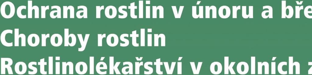 Choroby rostlin