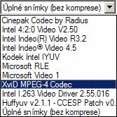 Rovněž přehrávání videa ve vyšším rozlišení klade vyšší nároky na hardware počítače - to bude ale problém spíše jen u starších počítačů.