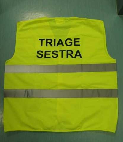 SESTRA