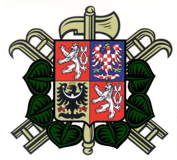 Děkujeme za pozornost přejeme všem krásné léto a