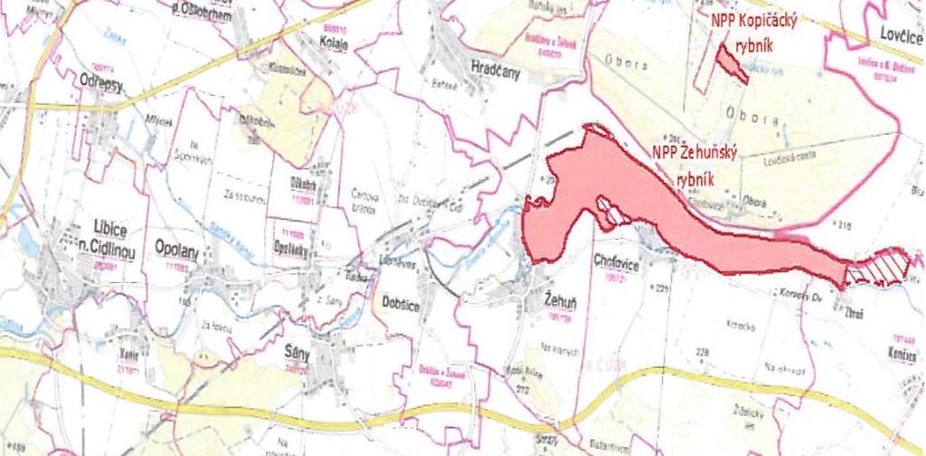 a bezkolencových luk a rákosin a ve vodních společenstvech Kopičáckého rybníka. NPP 5978 Dlouhopolsko rozloha 21,7013 ha.