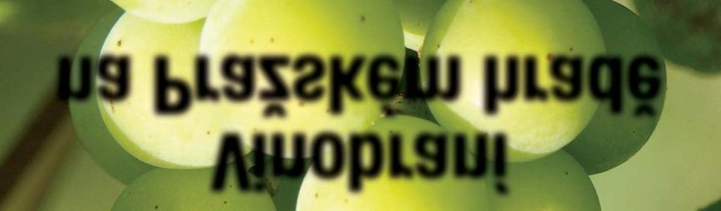 Archlebova, cimbálové muziky prodejní degustace