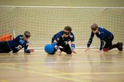 Goalball - Hra na orientaci v prostoru. Vytvoříme družstva o 3-4 hráčích. Všem zavážeme oči. Vytyčíme poměrně velké branky např. na šířku tělocvičny. Hráči se snaží druhému týmu vstřelit branku hodem.