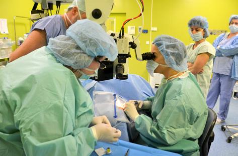 Jedná se o miniaturní implantát vyrobený z gelového materiálu, který byl vyvinut s cílem zjednodušit a zrychlit filtrující operace a zároveň snížit riziko některých perioperačních a časných
