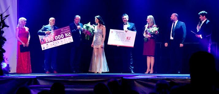 děčínské nemocnice. Organizátorkou akce je Ing. Lenka Kocmanová Taussigová (Miss sympatie ČR 2002). Záštitu nad letošním ročníkem převzal hejtman Ústeckého kraje Oldřich Bubeníček.