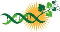 MONSANTO 2012 cspb RNA chaperon