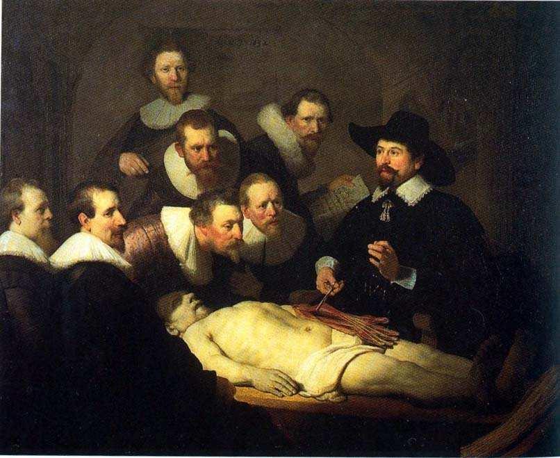Rembrandt, Anatomie