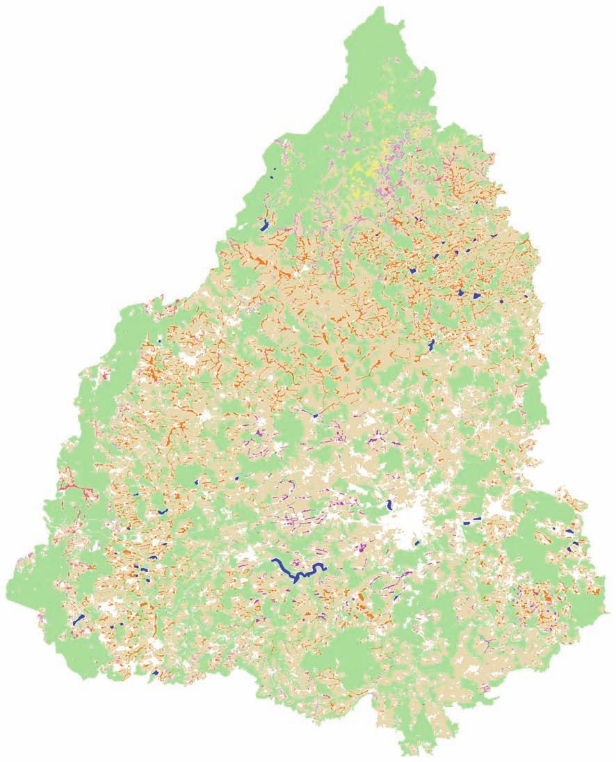 Mapa 21 Potenciál výmladkových plantáží RRD při pěstování na půdách s nízkým produkčním potenciálem pro pšenici (10 % rozlohy Plzeňského kraje) Použité mapové podklady: HPKJ, LPIS, mapa lesních ploch