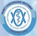 pod záštitou Central European Neurosurgical