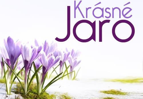 jarní paprsky, které už dokážou krásně hřát.