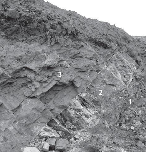 vápence (obr. 1). Pomocí GPS byla zaměřena geografická pozice: 48º55,729 N; 17º24,405 E. Flyšové vrstvy byly v z.