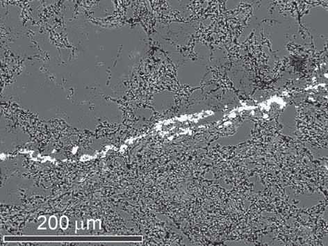 Obr. 2: Žilka xenotimu (bílý), protínající starší hydrotermální křemen (černý). Obraz BSE, foto P. Gadas. Fig. 2: Veinlet formed by xenotime (white) cut the older hydrothermal quartz (black).