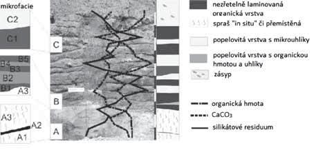 ven v programu POLPAL včetně numerických analýz (Nalepka Walanus 2003). Numerická metoda CONSLINK umožňuje klastrovou analýzu a shlukuje pylová spektra na základě stratigrafických omezení.
