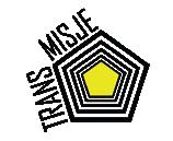 Název festivalu: Trans/Misje mezinárodní festival umění Rzeszów- -Košice-Ostrava-Debrecen-Lvov-Panevėžys lze vysvětlit následovně: Prefix trans Cílem festivalu je vytvořit unikátní uměleckou