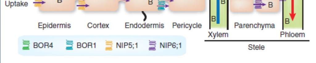 (2009) PNAS Nature