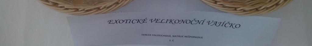 umístili F.