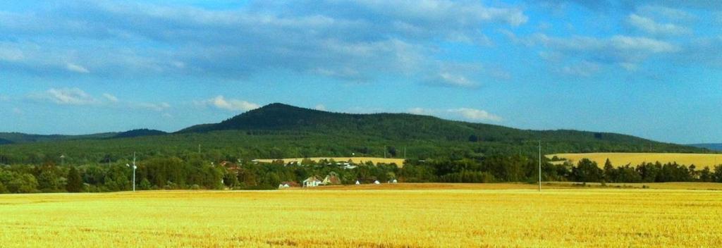 ÚVOD Na rozdíl od Českého krasu nebo Šumavy nepatří Brdy mezi lokality s dlouholetou tradicí geomorfologického výzkumu. V případě středních Brd je tento fakt spojen s existencí Vojenského újezdu Brdy.