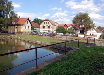 Ansorge, Tomáš