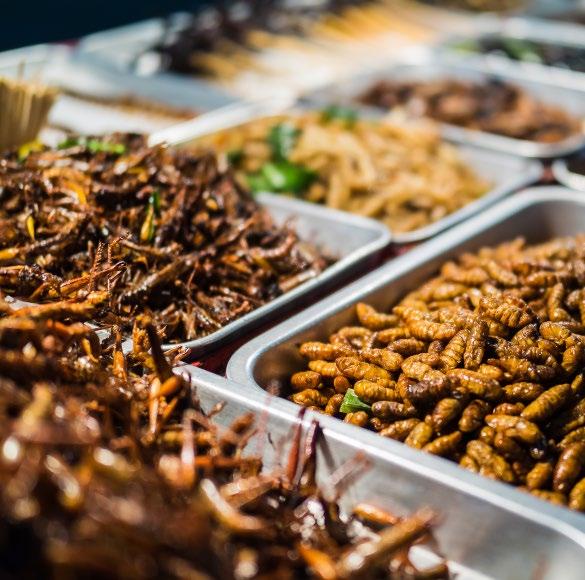 cestování Červi, kobylky i hadi patří mezi místní speciality. je grunt, a proto by si jistě pochutnaly i na talíři vývaru z morkových kostí s plátky masa a s hromadou bylinek.