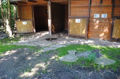 ČINNOST A DĚNÍ VE SDRUŽENÍ V ROCE 2016 Hiporehabilitace se v roce 2016 účastnilo přes 500 klientů, z toho 105 klientů stálých, kterým poskytujeme naše služby pravidelně.