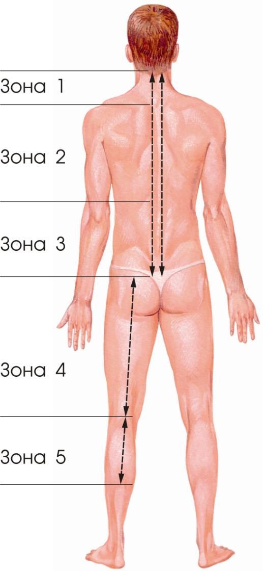 Léčení osteochondrózy zářičem «DUŠ-1» Léčba kontaktním způsobem skenuje zářičem DUŠ-1 podél páteře od střední linie zad.