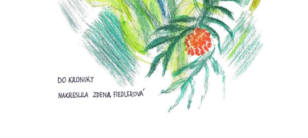 Fiedlerová je