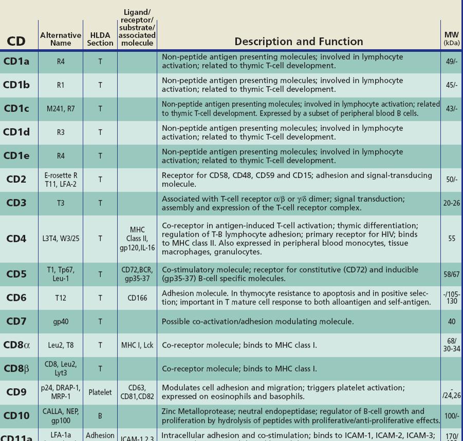 CD NOMENKLATURA CD3 = T řada CD4 = T pomahače (helpery)* CD8 = cytotoxické T* CD19