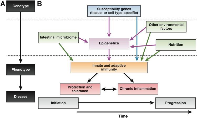Současný pohled na patogenezi nemocí Beyond Gene Discovery in Inflammatory Bowel