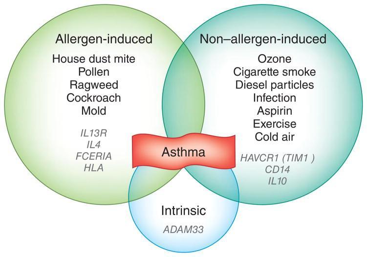 Heterogenita astmatu. Astma bronchiale je komplexní onemocnění způsobené mnoha fakotry. Rozlišujeme alergické, nealergické a intrinsické astma; u některých pacientů pozorujeme příznaky všech forem.