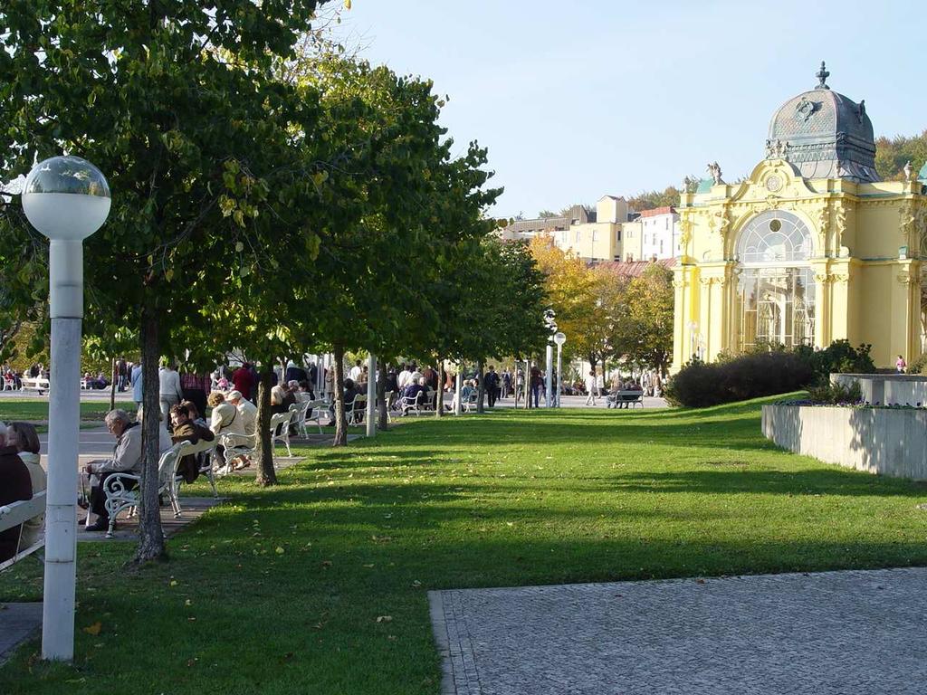 Činnost Rady studentů Již pátý rok existuje na Gymnáziu Rada studentů. Předsedou byla v průběhu roku zvolena studentka Iva Kofránková.