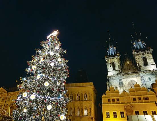 téma Více témat najdete www.nasepraha.cz www.nasepraha.cz Dražší Vánoce nárůst cen se projeví u stromků Letošní Vánoce nás asi přijdou na více korun.
