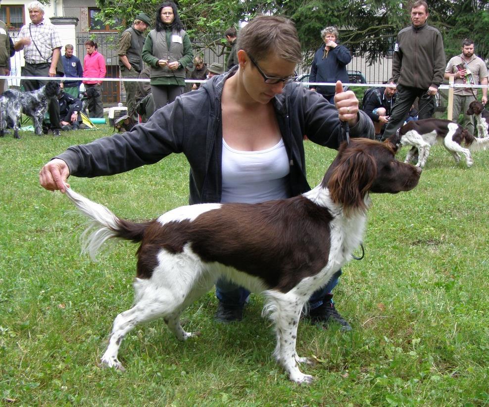 FENY - TŘÍDA OTEVŘENÁ 340 ANETA ZIMNÍ VRCH V1 7.2.